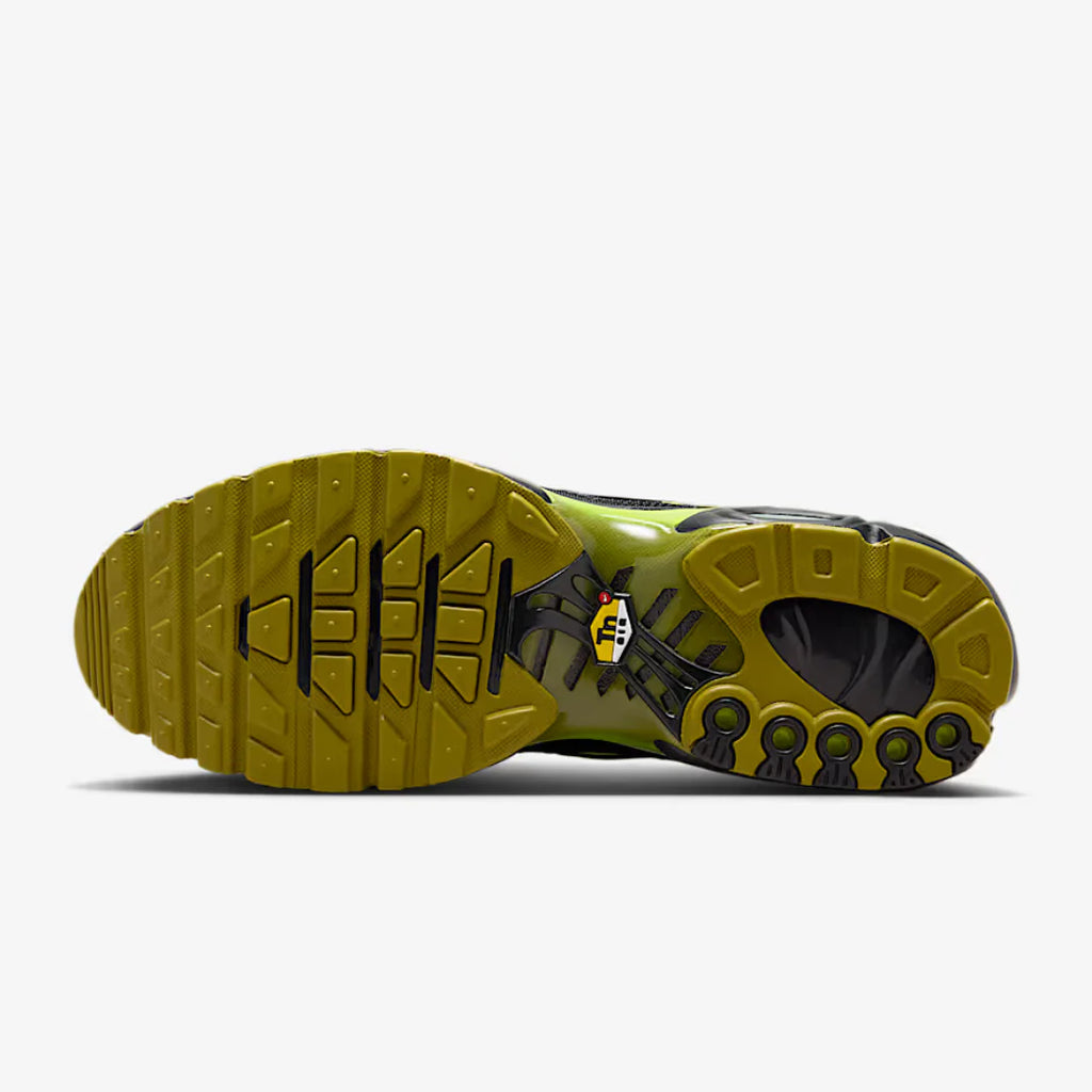 Air max plus - Pacific moss