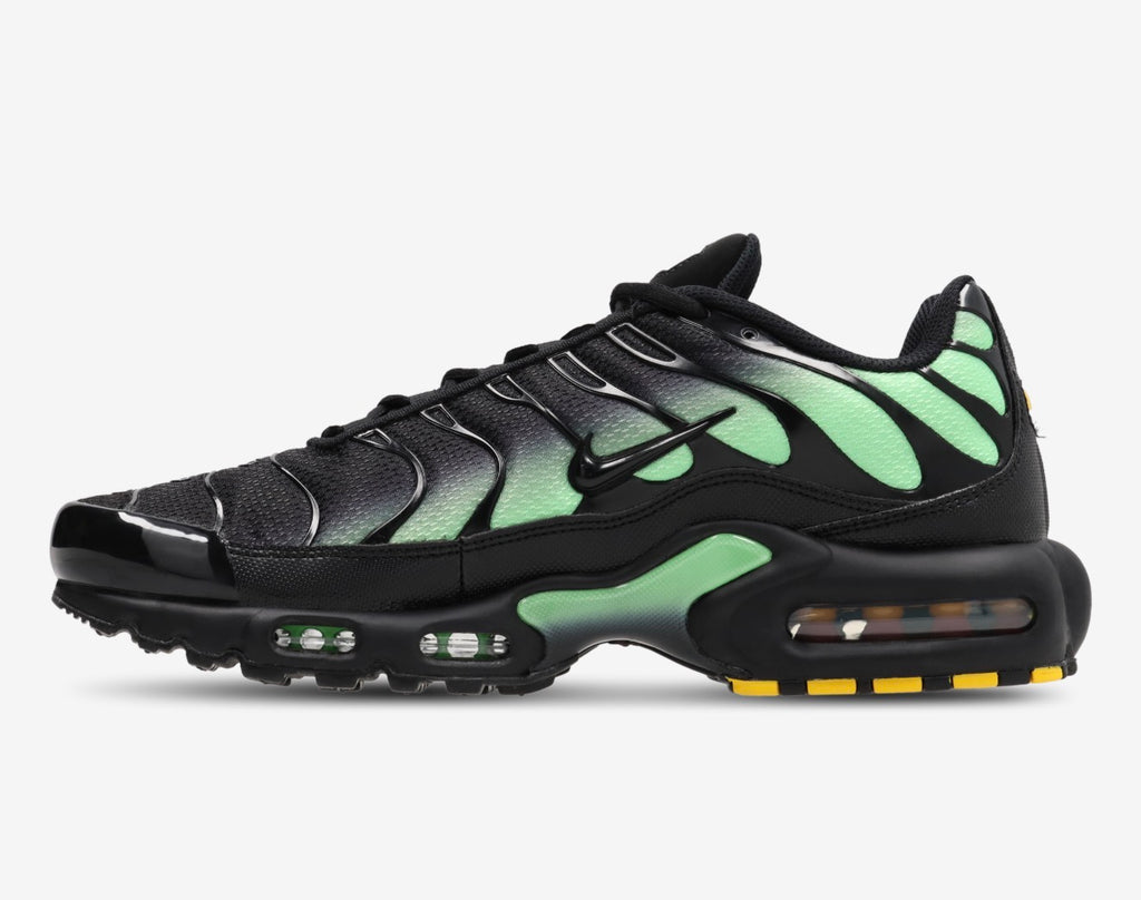 Air max plus - emerald fades