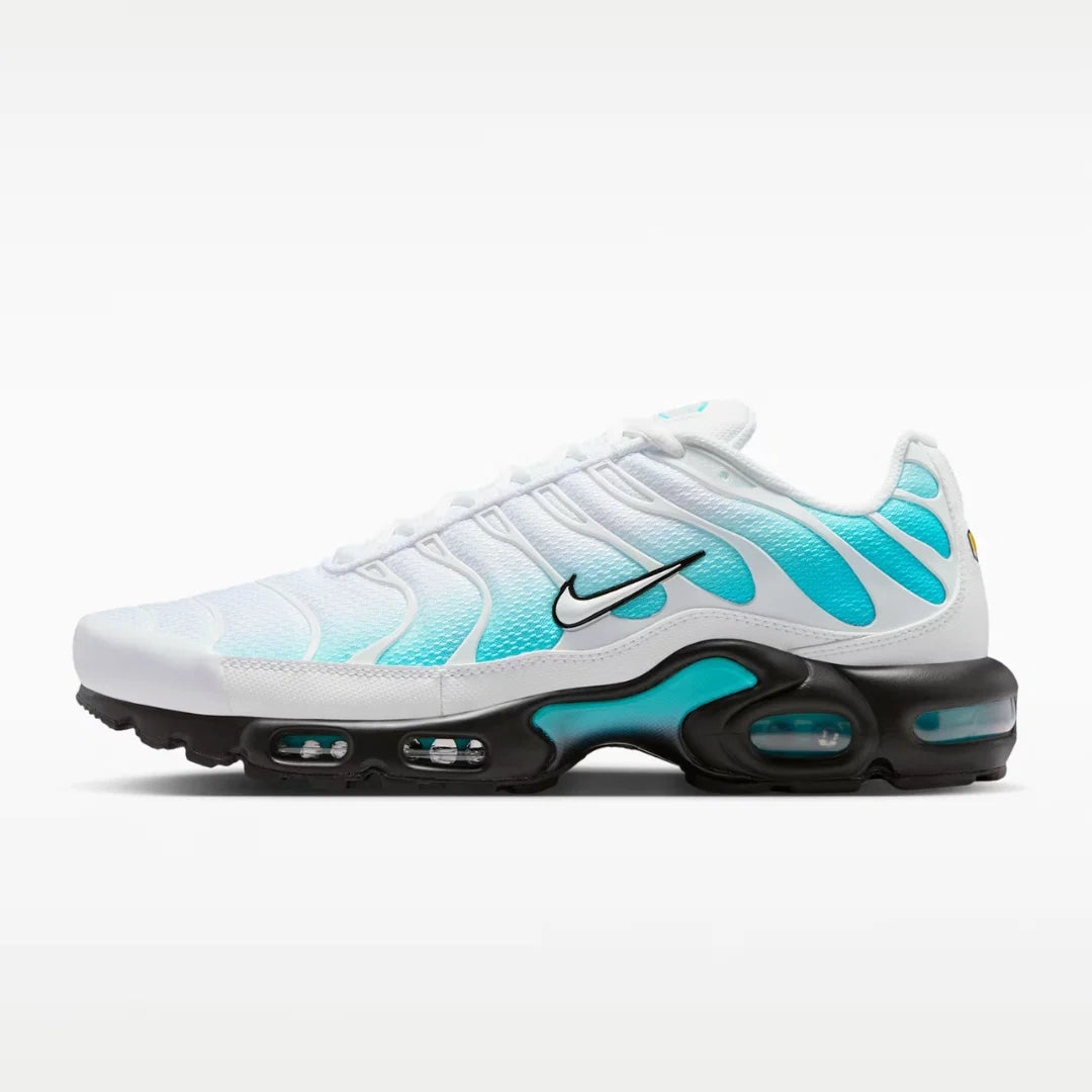 Air max plus - Frost bite