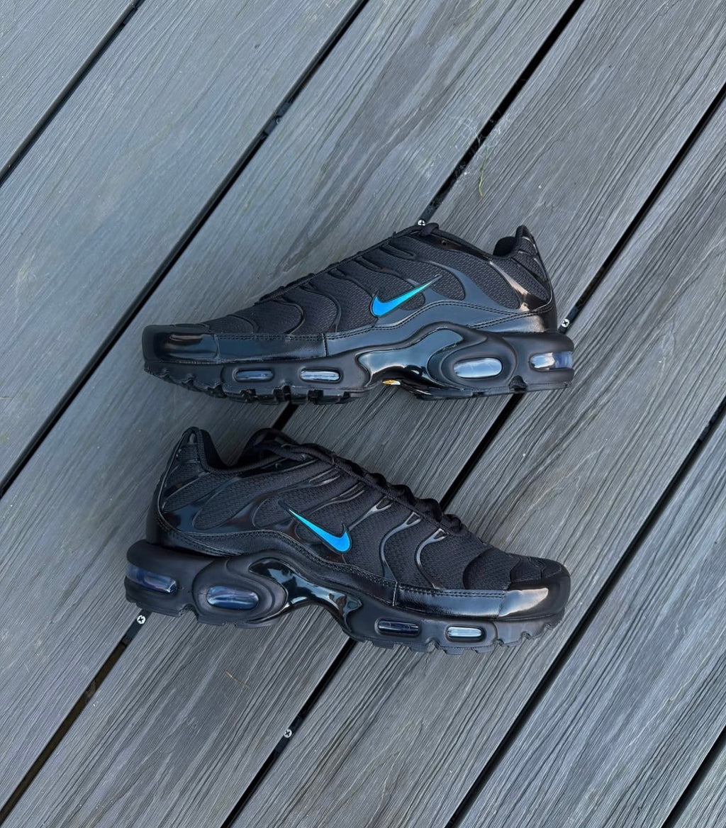 Air max plus - blue fade tick custom