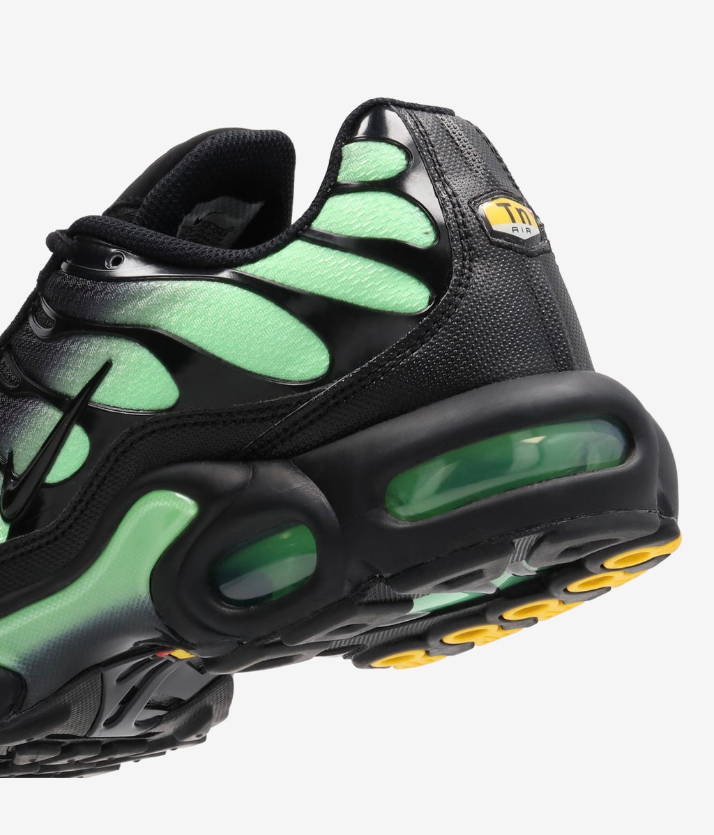 Air max plus - emerald fades
