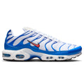 Air max plus “knicks”