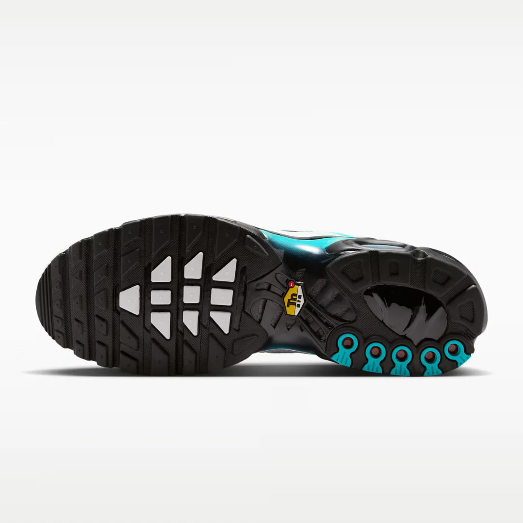 Air max plus - Frost bite